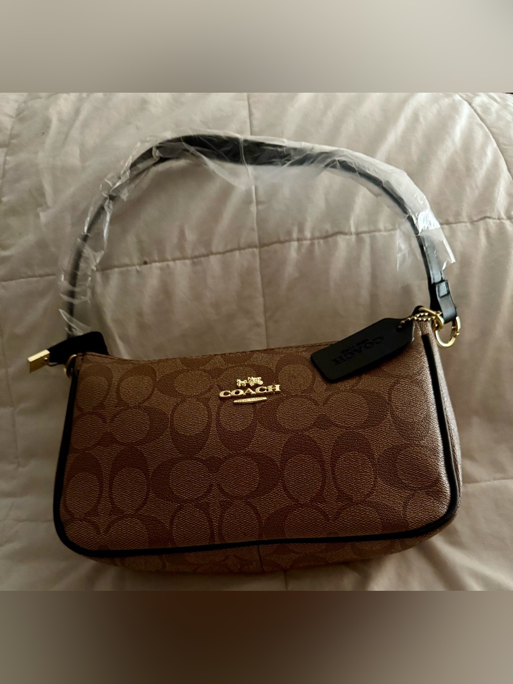 Mini Brown Signature Canvas Bag with Trim